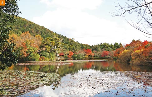 龍安寺鏡容池